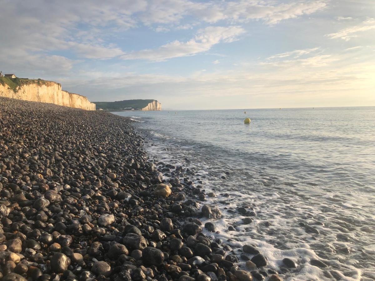 Hotel Royal Albion Mesnil-Val-Plage エクステリア 写真